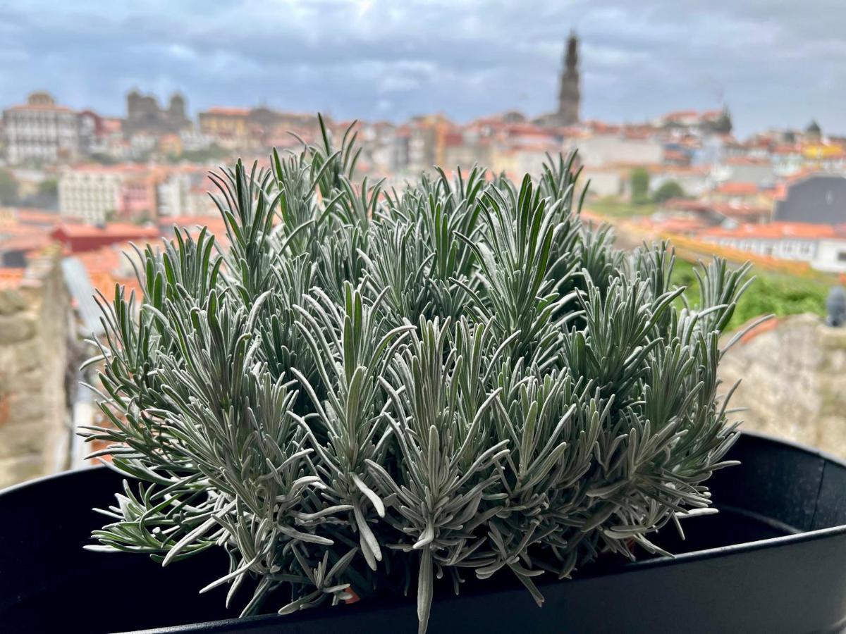 פורטו Urban Apartment Casa Da Portela מראה חיצוני תמונה